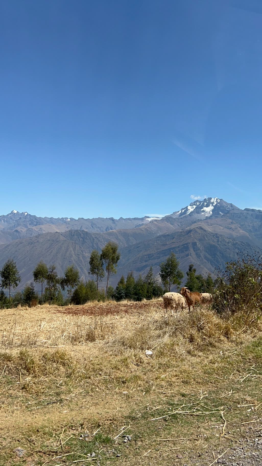 Hyak Travel group arriving in the Sacred Valley, Peru